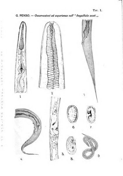 Annali di medicina navale e coloniale