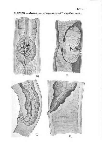 Annali di medicina navale e coloniale