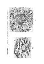 giornale/RML0028669/1930/V.2/00000043