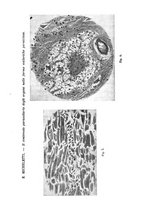 giornale/RML0028669/1930/V.2/00000045