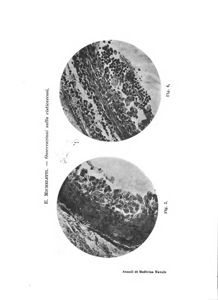 Annali di medicina navale e coloniale