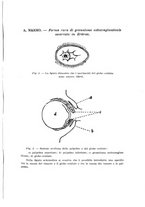 giornale/RML0028669/1931/V.1/00000363