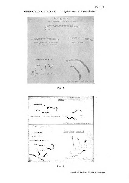 Annali di medicina navale e coloniale