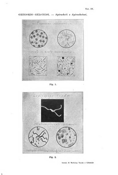 Annali di medicina navale e coloniale