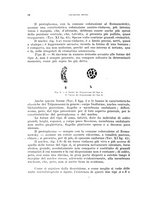 giornale/RML0028669/1934/unico/00000060