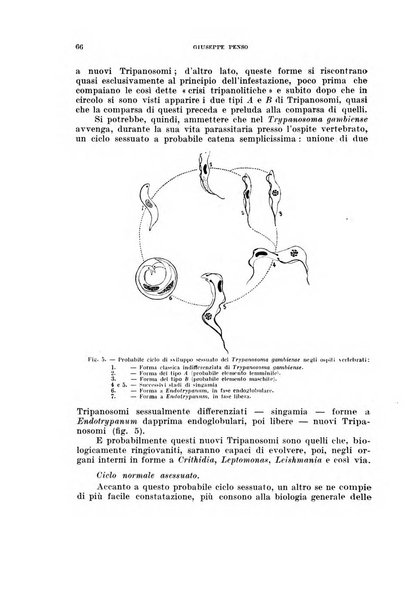 Annali di medicina navale e coloniale