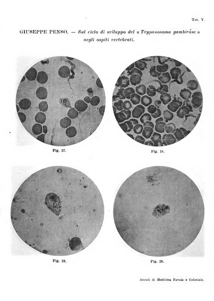 Annali di medicina navale e coloniale