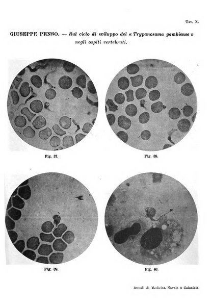 Annali di medicina navale e coloniale