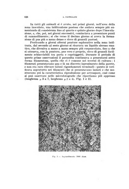 Annali di medicina navale e coloniale