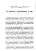 giornale/RML0028669/1938/unico/00000242
