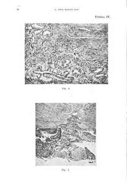 Annali di medicina navale e coloniale