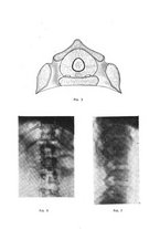 giornale/RML0028669/1946/unico/00000158