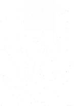 giornale/RML0028752/1924/unico/00000003