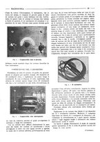 giornale/RML0028752/1925/unico/00000021