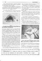 giornale/RML0028752/1925/unico/00000384