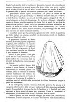 giornale/RML0029129/1892/unico/00000339