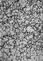 giornale/RML0029309/1880/unico/00000003