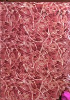 giornale/RML0029309/1908/unico/00000003