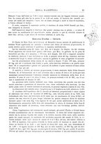 giornale/RML0029926/1917/unico/00000063