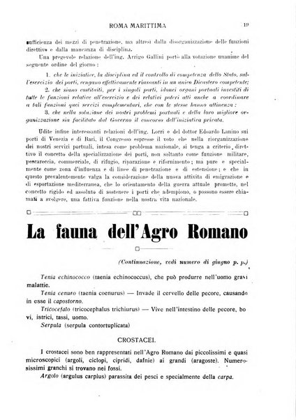 Roma marittima bollettino ufficiale del Comitato