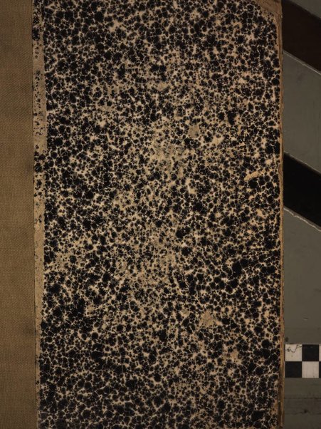 Bullettino senese di storia patria