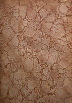 giornale/RML0030441/1920/unico/00000003