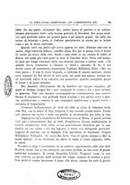 giornale/RML0030441/1924/unico/00000031