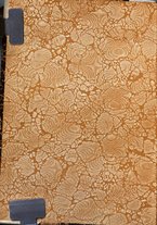 giornale/RML0030840/1920/unico/00000002