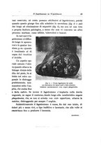 giornale/RML0030840/1920/unico/00000055