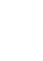 giornale/RML0030840/1921/unico/00000181