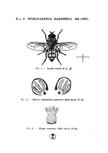 Archivio italiano di scienze mediche coloniali