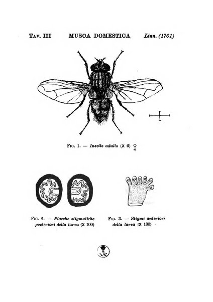 Archivio italiano di scienze mediche coloniali