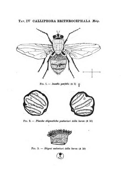 Archivio italiano di scienze mediche coloniali