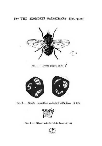 Archivio italiano di scienze mediche coloniali