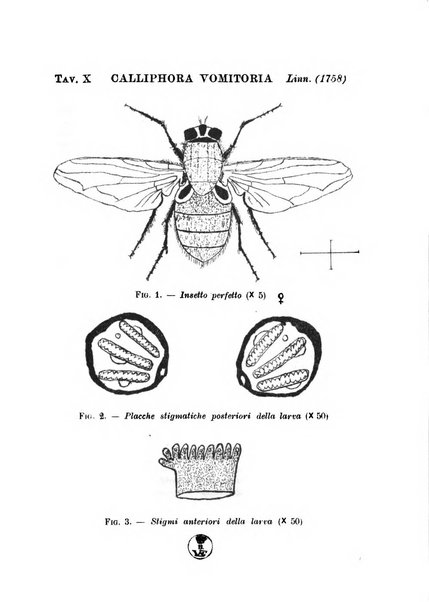 Archivio italiano di scienze mediche coloniali