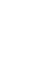 giornale/RML0030840/1925/unico/00000018