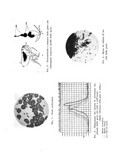 Archivio italiano di scienze mediche coloniali