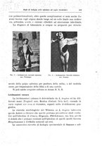 giornale/RML0030840/1927/unico/00000275