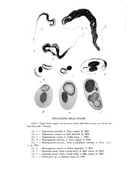 Archivio italiano di scienze mediche coloniali