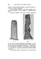 giornale/RML0030840/1929/unico/00000548