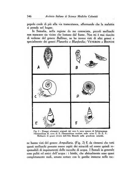 Archivio italiano di scienze mediche coloniali