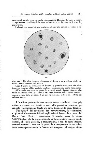 Archivio italiano di scienze mediche coloniali