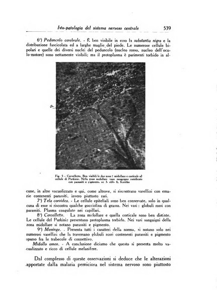 Archivio italiano di scienze mediche coloniali