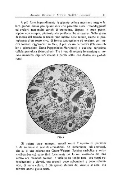 Archivio italiano di scienze mediche coloniali