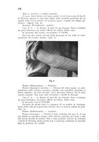 giornale/RML0030840/1931/unico/00000318