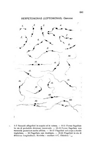 Archivio italiano di scienze mediche coloniali