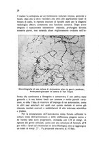 giornale/RML0030840/1933/unico/00000034