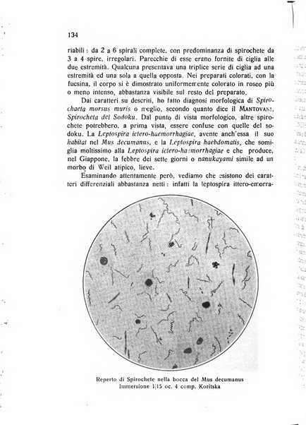 Archivio italiano di scienze mediche coloniali