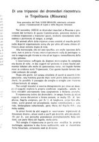 giornale/RML0030840/1933/unico/00000151