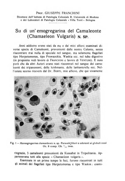 Archivio italiano di scienze mediche coloniali